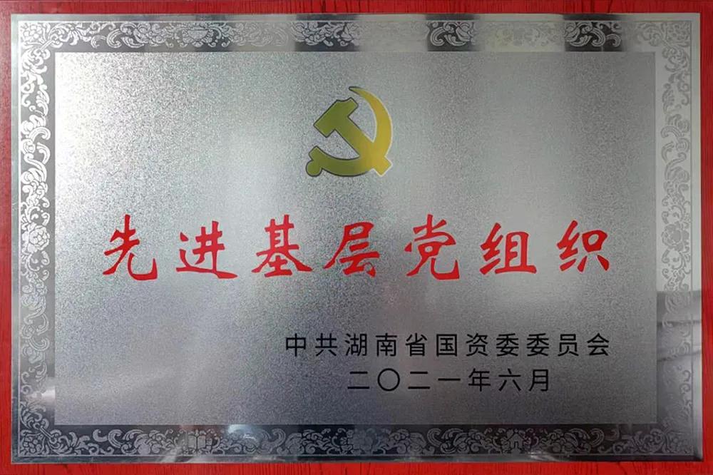 湘電重裝黨委先進基層黨組織.jpg